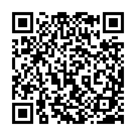 QR code for 290ZTI