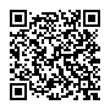 QR code for 290ZUN