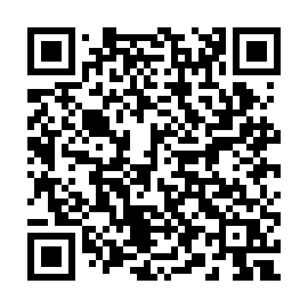 QR code for 291BER