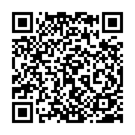 QR code for 291IAU