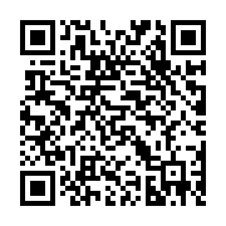 QR code for 291IZF