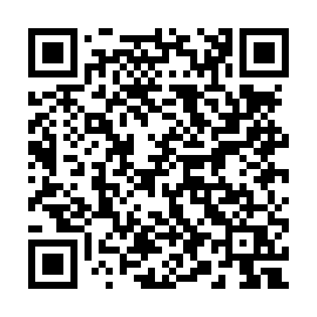 QR code for 291LUQ