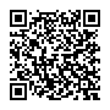QR code for 291NLG