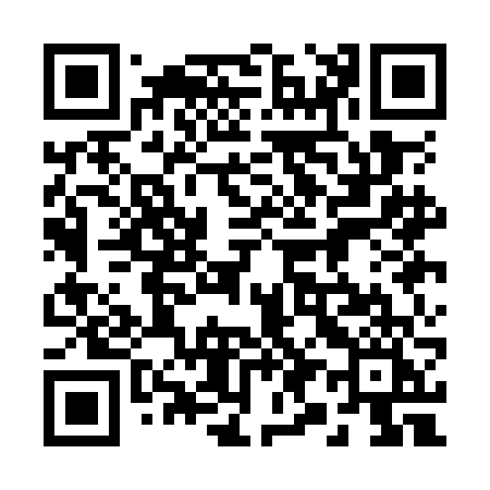 QR code for 291OFI
