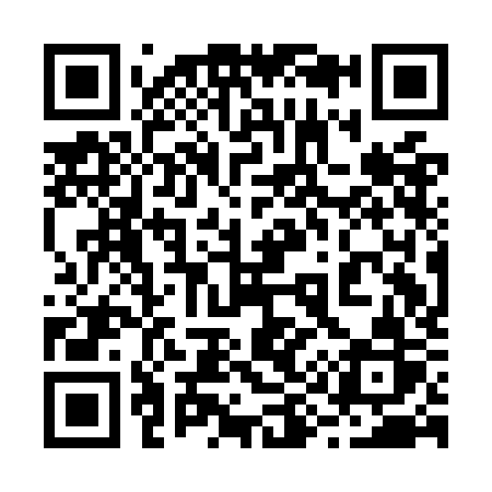 QR code for 291OKR