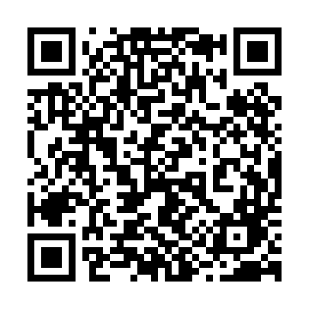QR code for 291PDD