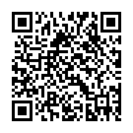 QR code for 291PIN