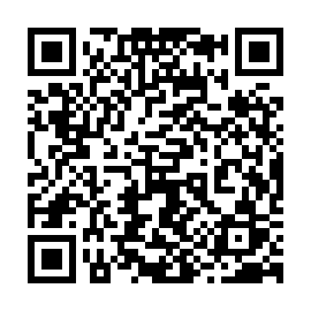 QR code for 291XSR