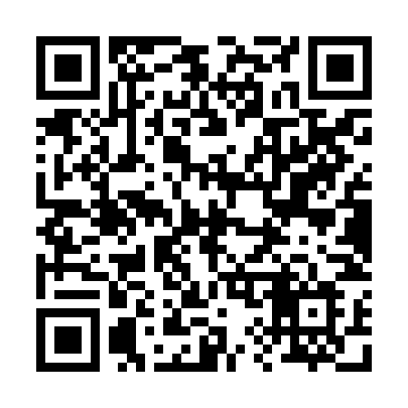 QR code for 291ZNL