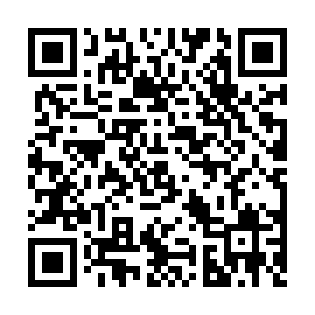QR code for 293MPY