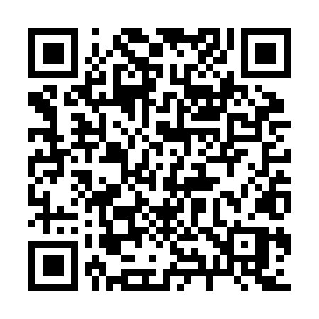 QR code for 293ZLP
