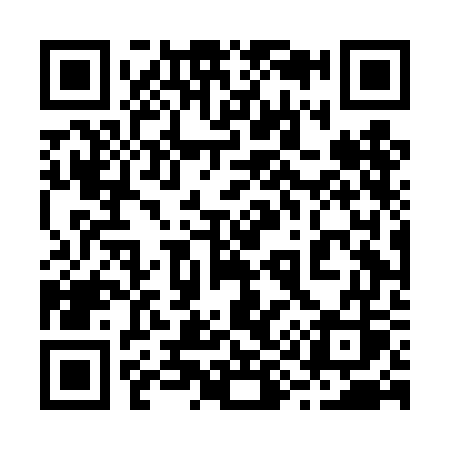 QR code for 294DGS