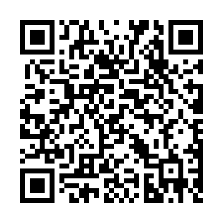 QR code for 294EMB