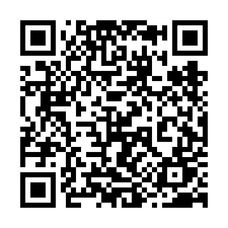QR code for 294FET
