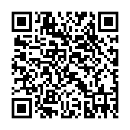QR code for 294LDS