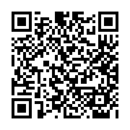 QR code for 295COO