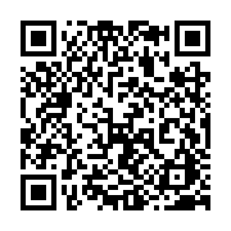 QR code for 295CZC