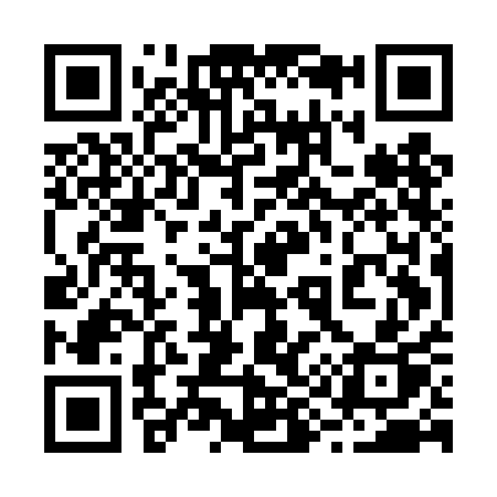 QR code for 295DAP