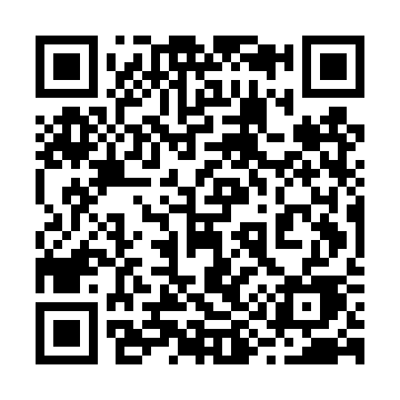 QR code for 295DSE