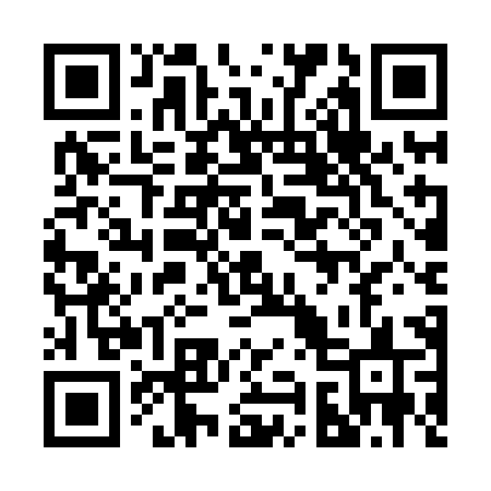 QR code for 295HHS