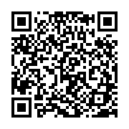 QR code for 295HLI