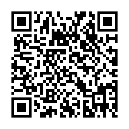 QR code for 295KII