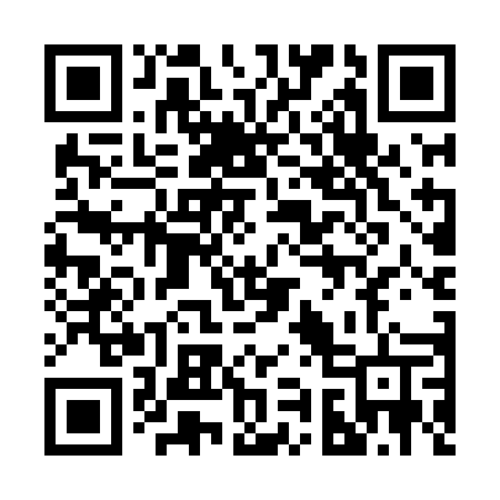 QR code for 295LET