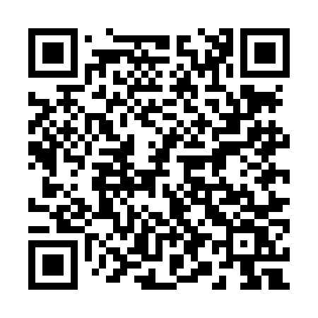 QR code for 295LNV