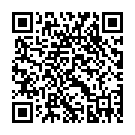 QR code for 295LUN