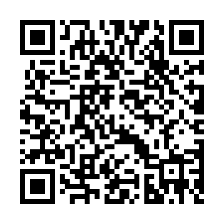 QR code for 295MEZ