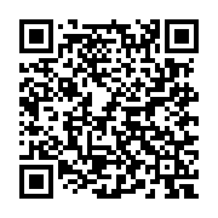 QR code for 295MNJ