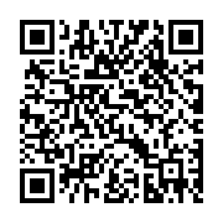 QR code for 295MPE