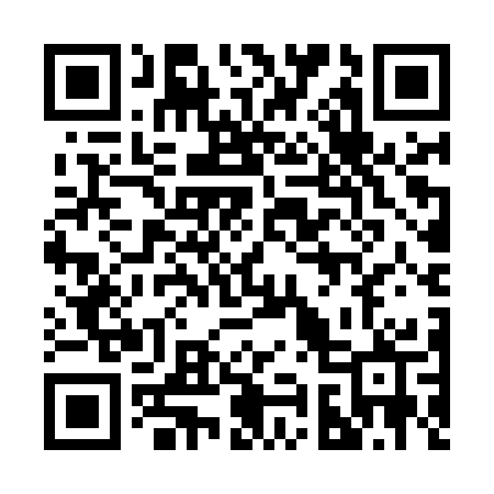QR code for 295MSP