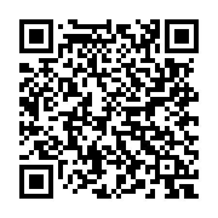QR code for 295MUA