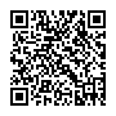 QR code for 295MUL
