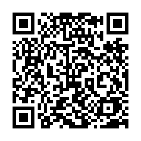 QR code for 295NKE