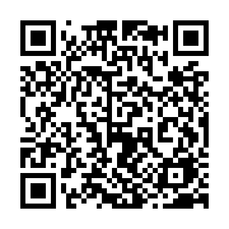 QR code for 295ORE
