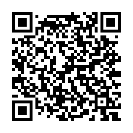 QR code for 295PWN