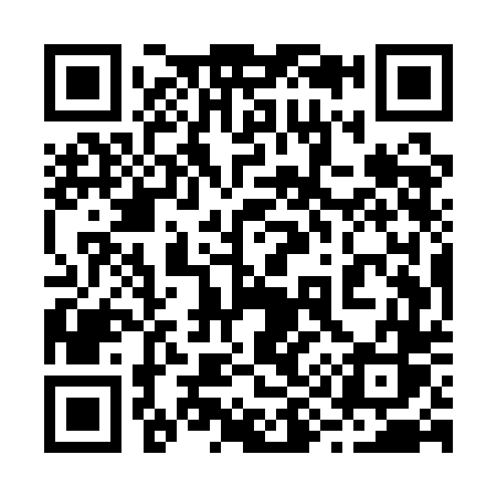 QR code for 295QDS