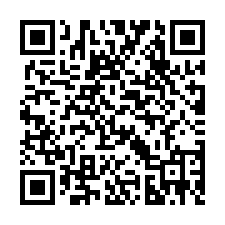 QR code for 295QEM