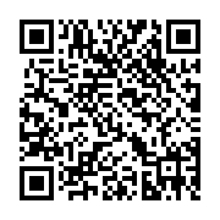 QR code for 295QHX