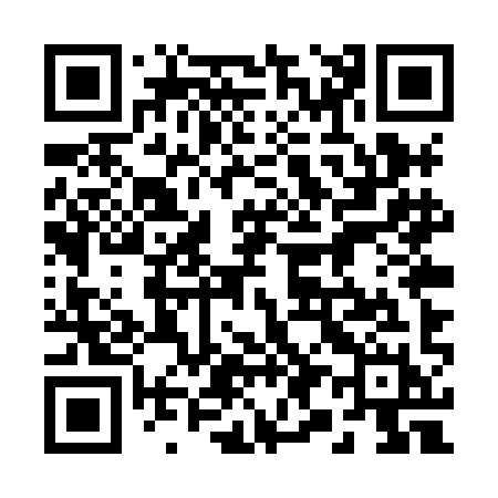 QR code for 295XIH