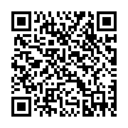 QR code for 295YTD