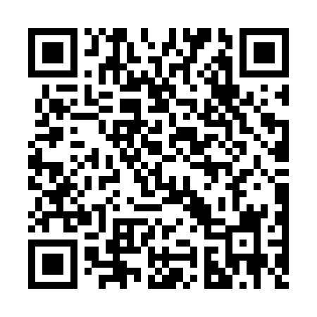 QR code for 296WSI