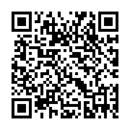 QR code for 299IOM