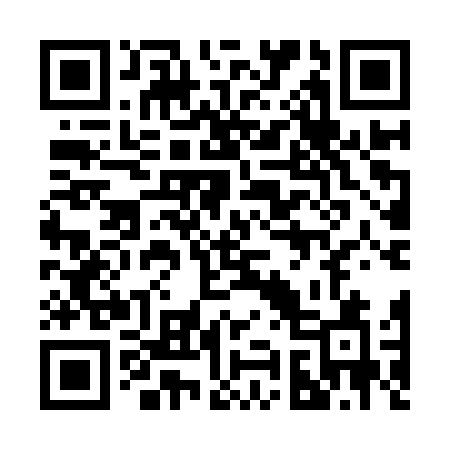 QR code for 299IVA