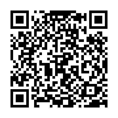 QR code for 299PAY