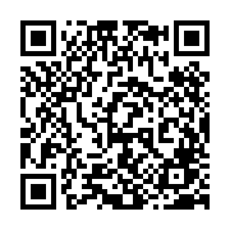 QR code for 299PNV