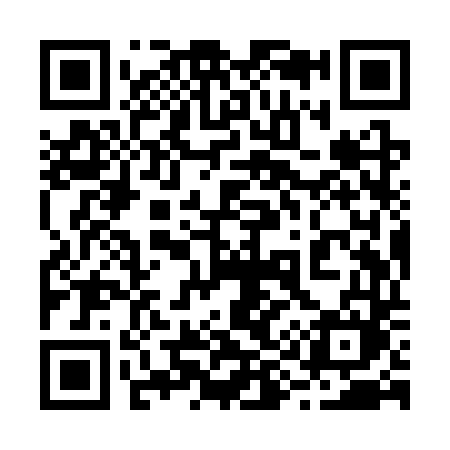 QR code for 299STM