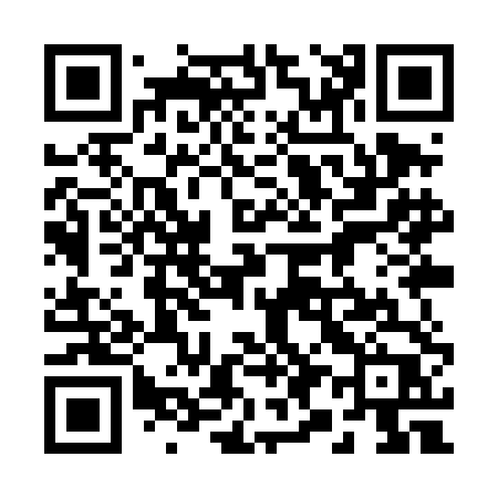 QR code for 299TDP